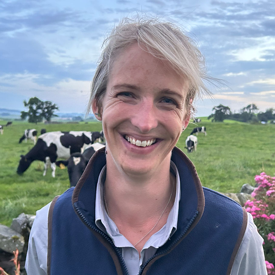 Ali Haggerty - Ruminant Revival